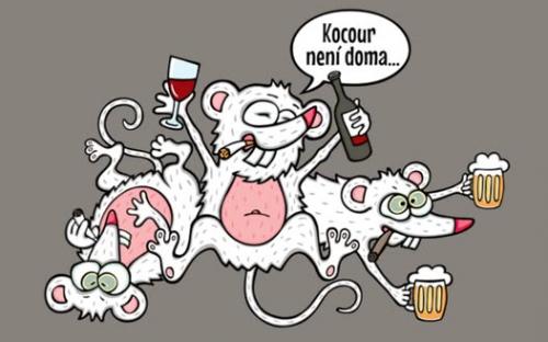 fb_kocour.jpg