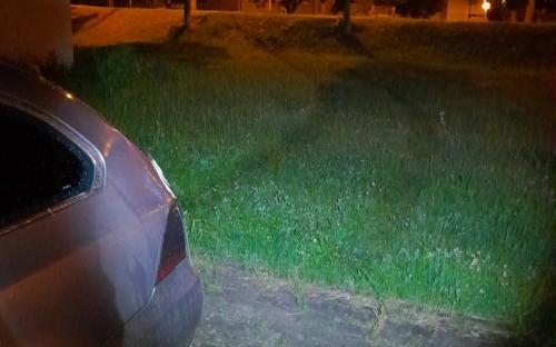 svodka_cerven_auto_trzni.jpg