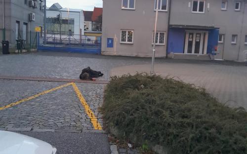 zari_svodka_opily_muz_nadrazi.jpg