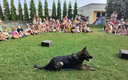 ms_sumavska_19.jpg
